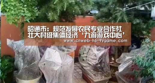 九游APP下载
