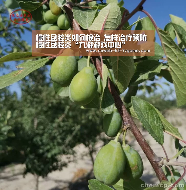 慢性盆腔炎如何根治 怎样治疗预防慢性盆腔炎“九游游戏中心”(图1) 九游游戏中心