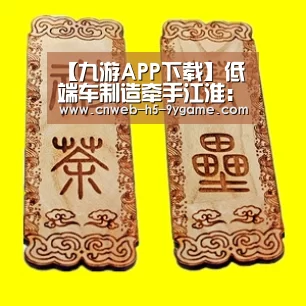 【九游APP下载】低端车制造牵手江淮: 大众重启西雅特国产?(图4) 九游游戏