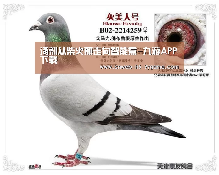 汤剂从柴火煎走向智能煮-九游APP下载(图1) 九游游戏